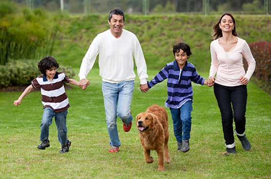 family life insurance